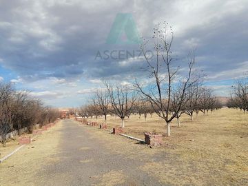 Oportunidad de Nogalera por Salida a Cd. Juarez, Fego
