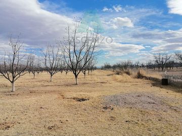 Oportunidad de Nogalera por Salida a Cd. Juarez, Fego
