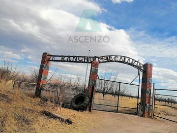 Oportunidad de Nogalera por Salida a Cd. Juarez, Fego