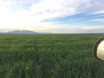 Venta de Rancho Agrícola por Carr. Cd. Aldama, Fer