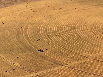 Venta de Rancho Agrícola por Carr. Cd. Aldama, Fer
