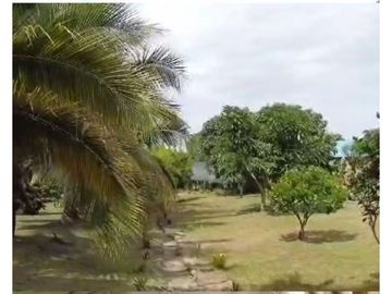 Finca en venta en Cundinamarca, La Mesa