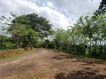 Terreno en Venta, Buena Vista, Colón, El Giral