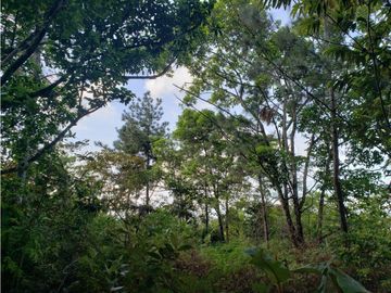 Terreno en Venta, Buena Vista, Colón, El Giral