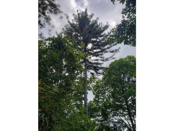 Terreno en Venta, Buena Vista, Colón, El Giral