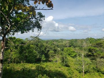 Terreno en Venta, Buena Vista, Colón, El Giral