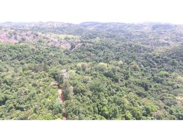 Terreno en Venta, Buena Vista, Colón, El Giral