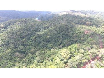 Terreno en Venta, Buena Vista, Colón, El Giral