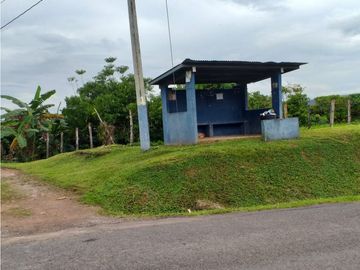 Venta: Finca de 6 hectareas en Tambo de Penonomé