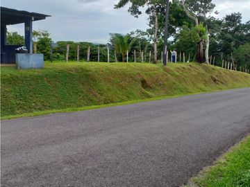 Venta: Finca de 6 hectareas en Tambo de Penonomé