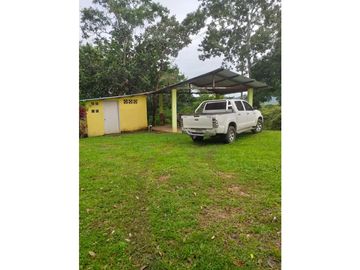 Venta: Finca de 6 hectareas en Tambo de Penonomé