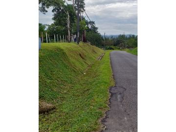 Venta: Finca de 6 hectareas en Tambo de Penonomé
