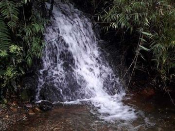 Vendemos parcela en la comuna de Lago Ranco sector Calcurrupe