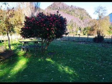 Vendemos parcela en la comuna de Lago Ranco sector Calcurrupe