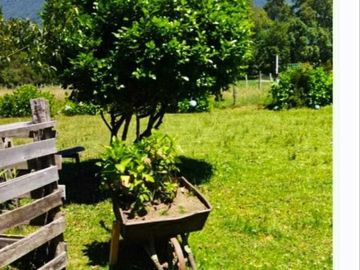 Vendemos parcela en la comuna de Lago Ranco sector Calcurrupe