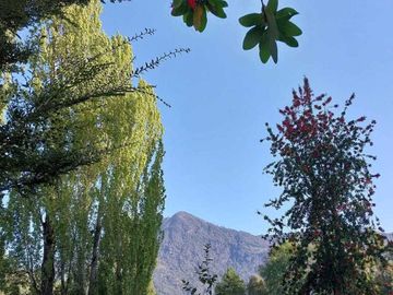 Vendemos parcela en la comuna de Lago Ranco sector Calcurrupe