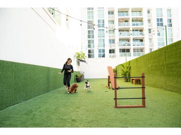 PH Mi Condado - Condado del Rey