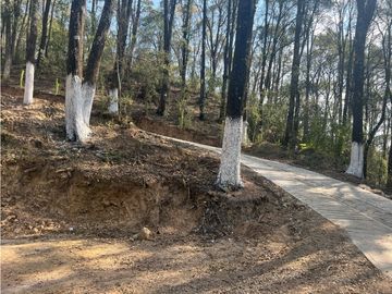 terreno a cinco minutos de Omitlan