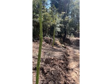 terreno a cinco minutos de Omitlan