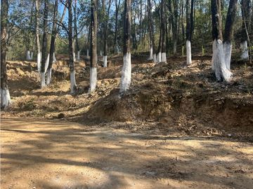 terreno a cinco minutos de Omitlan