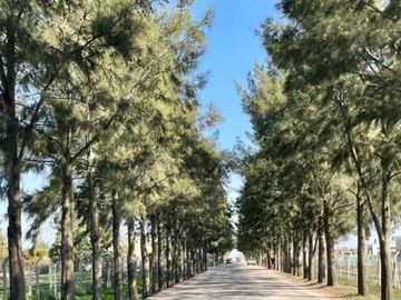 Venta de casa Barrio San Felipe con pileta- Canning