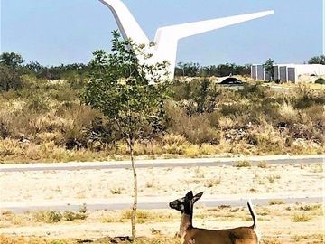 Terreno en venta en Las Aves en Pesqueria