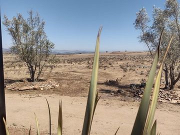 TERRENOS CAMPESTRES CERCA A VALLE DE GUADALUPE
