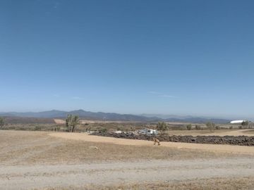 TERRENOS CAMPESTRES CERCA A VALLE DE GUADALUPE
