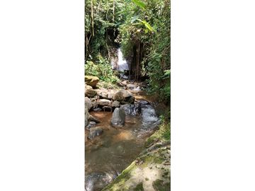 SE VENDE LOTE  EN GENOVA ,QUINDIO COLOMBIA