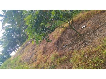 SE VENDE LOTE  EN GENOVA ,QUINDIO COLOMBIA