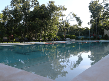 Villa Amore: Playa de Carmen, Residencia de Autor, 4 Habitaciones, Alberca Infin