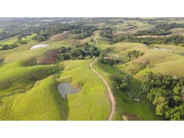 Hermosa finca doradal Antioquia ganadera