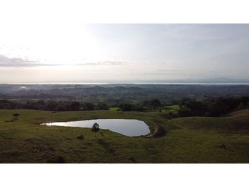 Hermosa finca doradal Antioquia ganadera