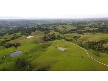 Hermosa finca doradal Antioquia ganadera
