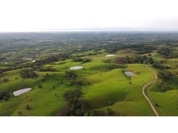 Hermosa finca doradal Antioquia ganadera