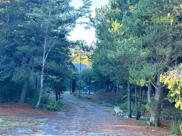 Casa en Venta en km 36 camino a Ensenada