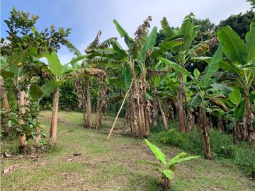 Casa Campestre en Venta Via la Tebaida