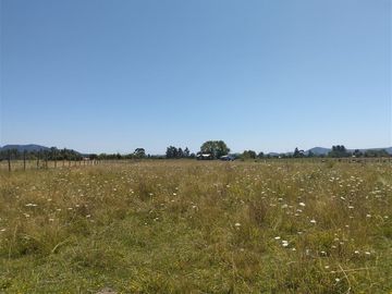 Parcela en Venta en Región del Maule, San Clemente, sector Las Lomillas
