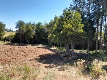 Parcela en Venta en Región del Maule, San Clemente, sector Las Lomillas