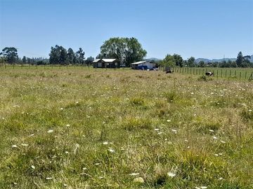 Parcela en Venta en Región del Maule, San Clemente, sector Las Lomillas
