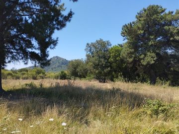 Parcela en Venta en Región del Maule, San Clemente, sector Las Lomillas