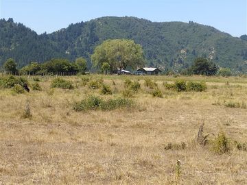 Parcela en Venta en Región del Maule, San Clemente, sector Las Lomillas