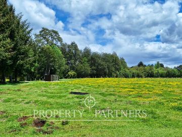 Preciosa Finca de 5.9 Ha planas, orilla de río y bosque nativo en Panguipulli.