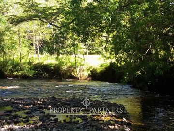 Preciosa Finca de 5.9 Ha planas, orilla de río y bosque nativo en Panguipulli.