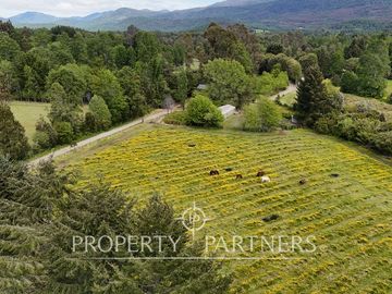 Preciosa Finca de 5.9 Ha planas, orilla de río y bosque nativo en Panguipulli.