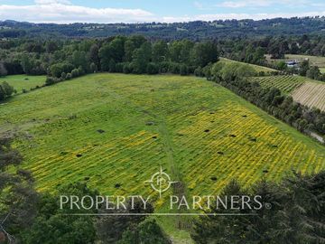 Preciosa Finca de 5.9 Ha planas, orilla de río y bosque nativo en Panguipulli.