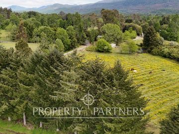 Preciosa Finca de 5.9 Ha planas, orilla de río y bosque nativo en Panguipulli.