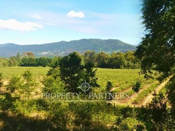 EXCLUSIVO TERRENO 5.9 HAS. CON 140M DE ORILLA DE RÍO MAÑÍO | PANGUIPULLI