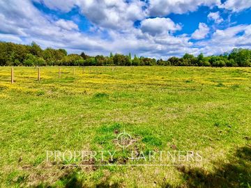 Preciosa Finca de 5.9 Ha planas, orilla de río y bosque nativo en Panguipulli.