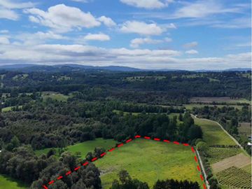 Preciosa Finca de 5.9 Ha planas, orilla de río y bosque nativo en Panguipulli.